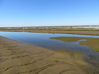 Mud flats in the Donana National Park