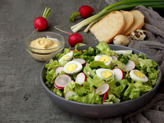 Vitamin salad from lettuce, radish, green onions and eggs, seasoned with vegetable oil and mustard in plate on gray concrete background. Healthy food