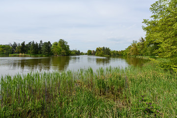 Lake in the city park