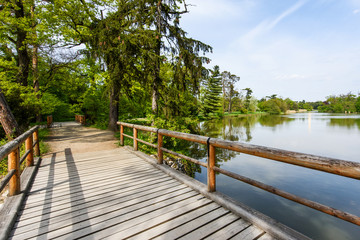 Wooden bridge over lake