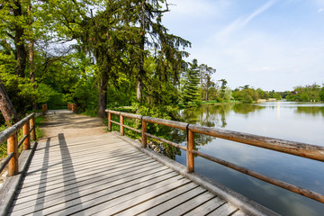 Fototapeta premium Wooden bridge over lake