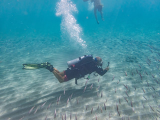 Fototapeta na wymiar Swimming with turtles Curacao Views
