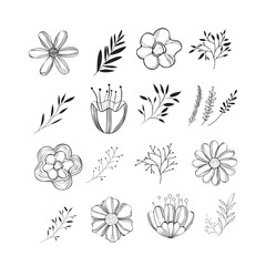 set floral decoration vintage style vector illustration design
