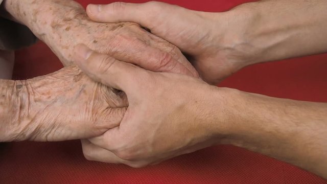 The hands of a man stroke the hands of an elderly woman. A man is stroking the hands of an elderly mother.