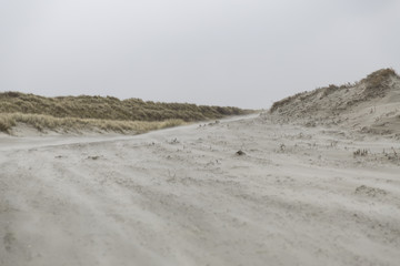 Beach at island Schiermonnikoog, protected nature reserve and popular for tourism.