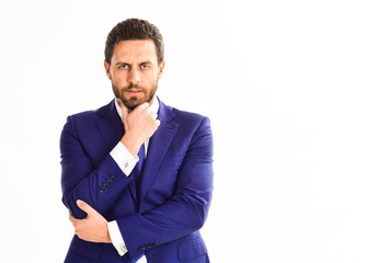 Man in suit or businessman with beard on white background.