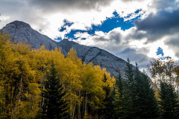 Muleshoe Lake, Bow Valley Parkway, Banff National Park, Alberta, Canada