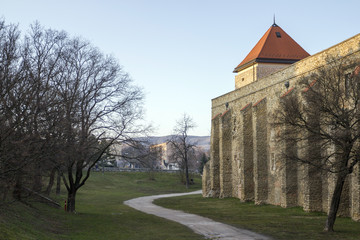 Fototapeta na wymiar Thury castle in Varpalota