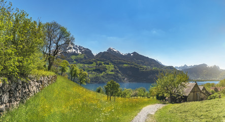 Fototapeta na wymiar Swiss village in the Alps mountains - Beautiful summer landscape with old houses on the shore of Walensee lake, the Alps mountains, and meadows, on a sunny day, in Quarten, Switzerland.