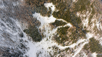 Drop down view of road going through winter forest.