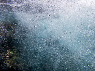  Underwater at Westpunt  Curacao Views