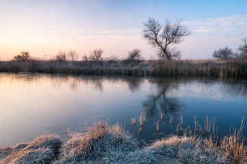 Obraz premium Kanal am Neusiedlersee am Morgen bei frostigem Wetter