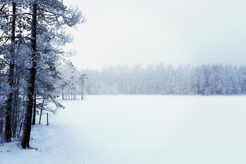 Wintry landscape from Finland. Snowy lake ice and frozen trees. Image has a vintage effect applied.