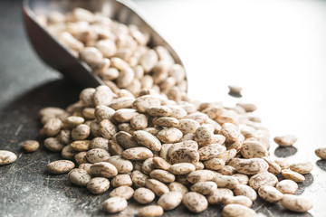 Obraz premium Dried borlotti beans.