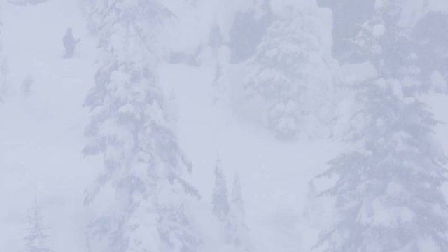 Skier in British Columbia snowstorm, tilt down