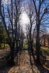 Orvieto (Italy) - The beautiful etruscan and medieval town in Umbria region, central Italy, with...