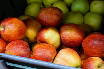 Many apples on the store counter