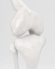 Knee without modern knee prosthesis - 3D Rendering