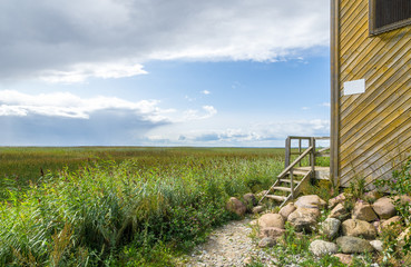 Fototapeta premium Tall grass in summer by the entrance to the Jõesuu observation tower by the Võrtsjärv lake, Estonia