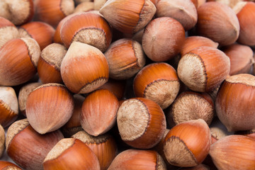 Hazelnuts. Food background, photo wallpaper.