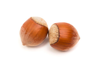 Two hazelnuts isolated on white, food background