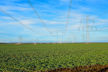 Unused transmissions or power towers taken down near nuclear power plant due to deactivation of the...