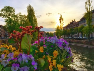 Strasbourg city view