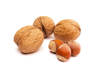 Group of walnuts and hazelnuts on white. Healthy food concept.