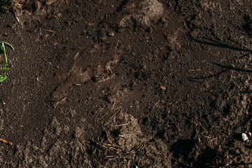 Background of terrain road texture