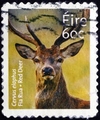 Postage stamp Ireland 2013 red deer, animal
