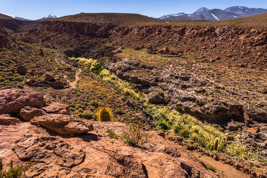 Atacama Desert, Chile - Panorama of the Guatin canyon in the Atacama desert, Chile