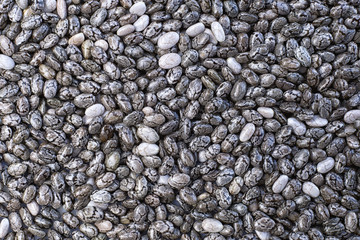 Chia seeds (Salvia hispanica) background textures