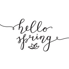 Fototapeta na wymiar hello spring, vector lettering with flower on white background