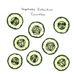 Round Cucumber Slices with Seeds. Vector Illustration. Fresh Green Vegetable. Healthy Vegetarian Cuisine. Savoyar Doodle Style.
