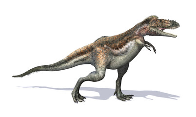 Alioramus Dinosaur © AlienCat