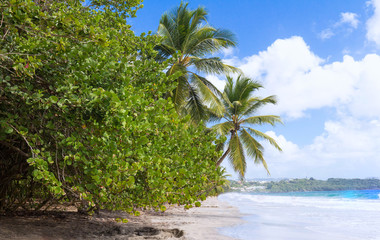 The Caribbean beach , Martinique island.