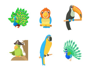 Exotic bird icon set, cartoon style