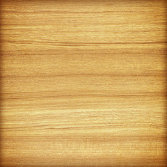 plywood texture close-up background