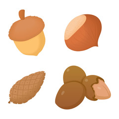 Nuts icon set, cartoon style