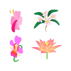 Exotic flower icon set, cartoon style