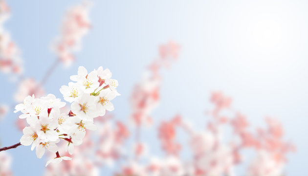 Der Fr&uuml;hling ist da!