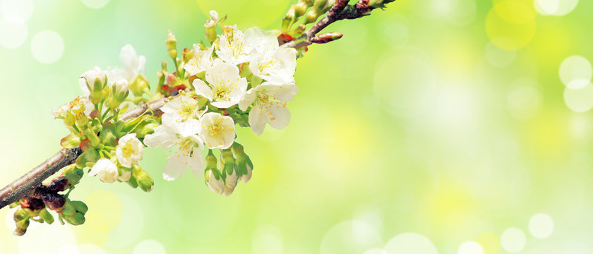 Der Fr&uuml;hling ist da!