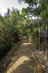 Village in Bangladesh.