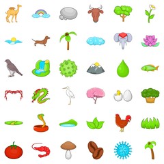 Everyday forest life icons set, cartoon style