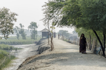 Sundarbans / Bangladesh - November 2012: People work on rice fields in Bangladesh during dry season.