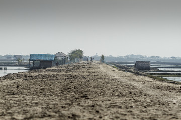 Village in Sundarbans in Bangladesh