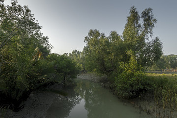 The Sundarbans is a vast forest in the coastal region of the Bay of Bengal and considered one of the natural wonders of the world. 