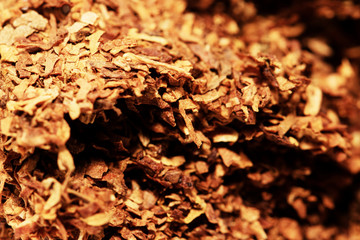 World No Tobacco Day and tobacco on white background