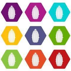 Mammillaria bocasana icon set color hexahedron