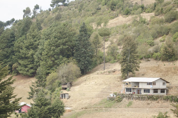 Santuario de las mariposas monarcas, Michoac&aacute;n